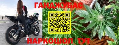 винт Тара